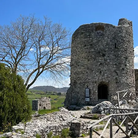 Rocchesi *